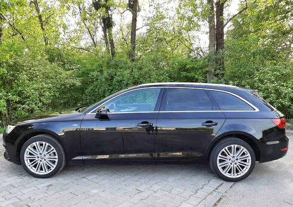 Audi A4 cena 79900 przebieg: 171000, rok produkcji 2016 z Zielonka małe 172